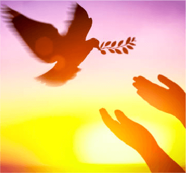 Peacebuilding Initiatives